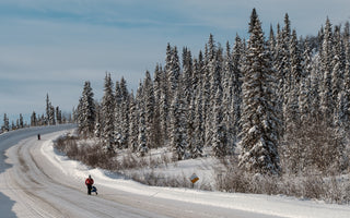 The Dempster Highway: A Road into the Arctic Soul