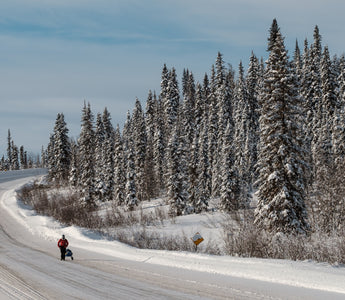 The Dempster Highway: A Road into the Arctic Soul