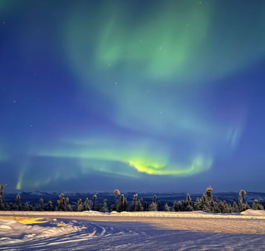 The Magic of the Northern Lights