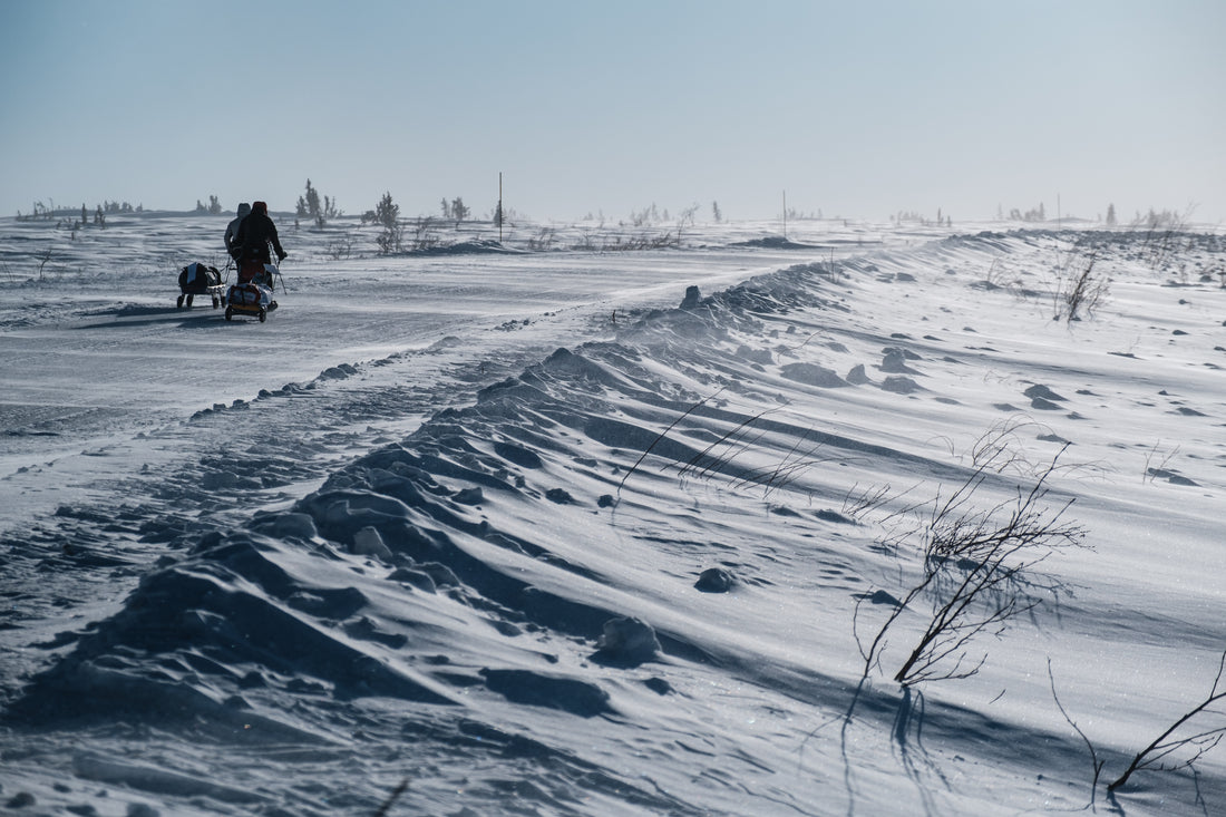 6633 Arctic Ultra